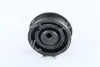 Ролик натяжний AUDI, SEAT, VW (, кор. код MPQ0423) MAGNETI MARELLI 331316170423 (фото 1)
