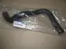 Патрубок радіатора нижній Hyundai Tucson / Kia Sportage 04- Hyundai/Kia/Mobis 254122E100 (фото 2)