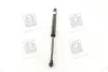 Амортизатор багажника CHEVROLET TACUMA; REZZO (U100) PARTS-MALL PQC-211 (фото 4)