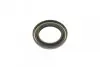 Підшипник маточини (задньої) VW T2/T3 70-92 (35x62x19/35x72x17)(к-кт) FEBI BILSTEIN 03691 (фото 6)