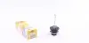 Автолампа D4S 35W P32D-5 XENON (D4S) MAGNETI MARELLI 002579100000 (фото 1)