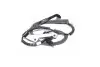 Датчик ABS задний левый Hyundai Cm10 09-/Santa Fe 06-09 Hyundai/Kia/Mobis 956802B000 (фото 1)