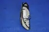 Электробензонасос DAEWOO NUBIRA 1,6/2,0 16V (J100) PARTS-MALL PDC-M004 (фото 3)