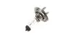 Автолампа H7 12V 55W PX26d Standard (H7 12V) MAGNETI MARELLI 002557100000 (фото 1)