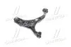 Рычаг подвески передний левый Hyundai Santa Fe 07-09 Hyundai/Kia/Mobis 545002B000 (фото 4)