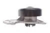 Фото 3 - помпа води Dacia Logan/Sandero/Renault Clio/Twingo 1.0SCe 17-/Nissan Micra 1.0 16- RENAULT / DACIA 210102662R Помпа води Dacia Logan/Sandero/Renault Clio/Twingo 1.0SCe 17-/Nissan Micra 1.0 16- RENAULT / DACIA 210102662R (фото 3)