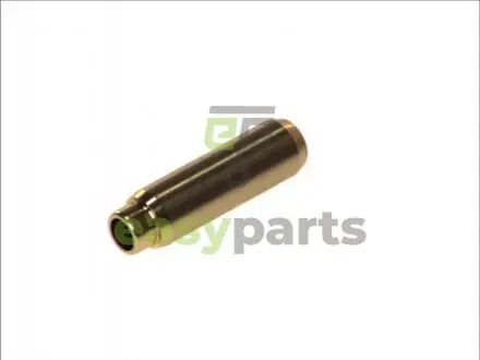 Направляюча клапана IN/EX BMW 3 (E21/E30) 82- M10/30 (50x8x14.05) FRECCIA G2070