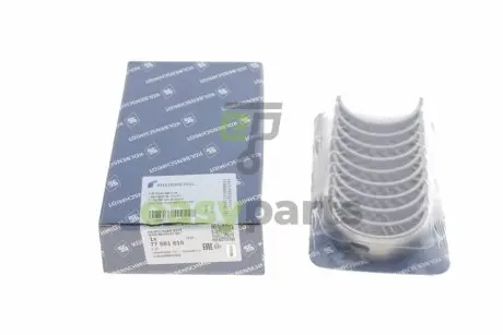 Вкладиші KOLBENSCHMIDT 77551610