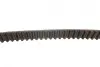 Комплект ГРМ Opel Astra F/Vectra B 1.4/1.6 16V 94-05 Gates K015369XS (фото 10)