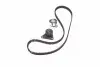 Комплект ГРМ Laguna/C70/S40 95-10 1.6-2.5 (рем. Conti CT979) Gates K015509XS (фото 2)