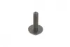 Комплект ГРМ Mazda 2/Ford Fiesta/Focus/Volvo S40/V50 1.25i-1.6 16V 95- (22x117z) Gates K025433XS (фото 4)