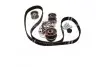 Ремкомплекты привода ГРМ автомобилей PowerGrip Kit Gates K035453XS (фото 3)