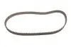 Комплект ГРМ Ford Fiesta/Focus III/Kuga II 1.2-1.6 10- (22x117z) Gates K035669XS (фото 4)