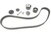 Комплект ГРМ Renault Kangoo/Dacia Logan/Sandero 1.4/1.6 16v 01- (K4M) K035671XS
