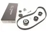 Комплект ГРМ Renault Clio/Laguna/Megane/Scenic 1.8/2.0 16V 98-09 (27x128z) K045507XS