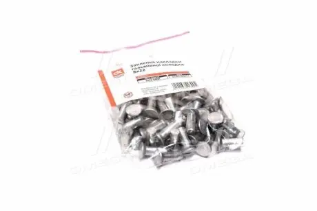 Фото заклепка 8х22 накладки колодки гальм Еталон (64 шт) <ДК> Дорожная Карта DK-8х22-64 Заклепка 8х22 накладки колодки гальм Еталон (64 шт) <ДК> Дорожная Карта DK-8х22-64