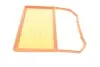 Фільтр повітряний Seat Ibiza/VW Polo 1.0MPI 17-/Up 1.0 20- MANN C31031 (фото 4)