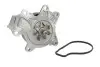 Водяной насос TOYOTA RAV 4 IV (A4) 2.0 4WD 2012 - SKF VKPC 91866 (фото 1)