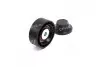 Ролик генератора Renault Kangoo/Clio II 1.2 16V 97- (паразитний) (56x21) (MPQ0117) MAGNETI MARELLI 331316170117 (фото 2)
