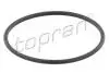 Прокладка-кільце термостата Opel Omega A/B/Vectra A 1.8 88- TOPRAN / HANS PRIES 202 327 (фото 1)