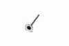 Клапан випускний OPEL 18N / 18S / C20NE 36.5x7x103.6 AE V91150 (фото 4)