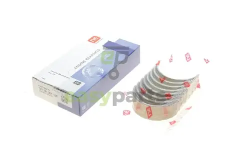Вкладиші шатунні Fiat Ducato 2.3JTD 02- (STD) = 6120740000 NPR 181121001100