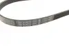 Ремінь генератора поліклиновий Fiat Scudo 2.0 JTD 99-06 (5PK970) BOSCH 1 987 947 812 (фото 1)