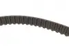 Ремінь ТНВД VW LT/VW T4 2.5TDI/SDI 96-06/Volvo 850/S70/S80/V70 2.5TDI 95-07 (21x81z) BOSCH 1 987 949 455 (фото 1)