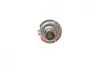 Автолампа H7 12V 55W PX26d Plus 50% BOSCH 1 987 302 079 (фото 2)