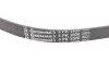 Ремінь генератора Opel Omega B 2.5DTI 01-03/Land Rover Range Rover 3.0D 02-12 Contitech 5PK2020 (фото 1)