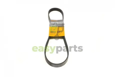 Ремінь генератора BMW 1 (F20/F21)/3 (F30/F80) 1.6i 11-/Honda Civic VII/FR-V 1.7i 01- Contitech 6PK986