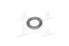 Прокладка пробки зливної масляного піддону Citroen Jumper/Peugeot Boxer 2.2 HDi 06- (13x23x3) CORTECO 026758H (фото 1)