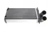 Радіатор пічки Citroen Berlingo/Peugeot Partner 1.0-2.0 HDi/D 96- (157x234x42) Van Wezel 09006055 (фото 4)
