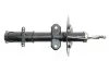 Амортизатор (передній) Chrysler Voyager IV 00-08 SACHS 310 202 (фото 6)