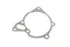Помпа води Mitsubishi L200/Pajero 2.5TD 92-07/Pajero Sport 2.5TD 98-/Hyundai H-1 2.5D/TD/TCI 97-07 (WPQ0610) MAGNETI MARELLI 352316170610 (фото 15)