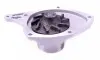 Помпа води Renault Kangoo 1.5dCi (WPQ0970) MAGNETI MARELLI 352316170970 (фото 1)
