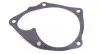 Помпа води Renault Trafic 1.9DCI (WPQ0986) MAGNETI MARELLI 352316170986 (фото 1)