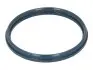Прокладка колектора впускного Ford Transit 2.0TDCi/2.4TDCI 00- 575.500