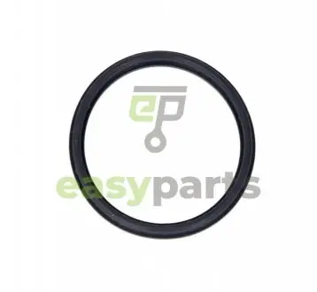 Прокладка корпуса колектора впускного Ford Transit/Mondeo III 2.0/2.4D 00-07 ELRING 714.910