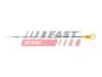 Щуп рівня мастила Citroen C3/Peugeot 206,307 1.6 00- FAST FT80310 (фото 1)