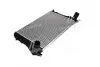 Интеркулер AUDI; SEAT; SKODA; Volkswagen (AVA) AVA COOLING VNA4306 (фото 4)