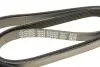 Ремінь генератора VW Passat/Audi A4 2.5TDI/3.2FSi 94- DAYCO 6PK2400 (фото 5)
