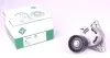 Натяжник ременя генератора Renault Master/Trafic 2.2-2.5dCi 02- (60x31) 534 0317 10