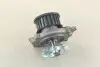 Водяний насос (кор.код. 81369) MAGNETI MARELLI 350981369000 (фото 2)