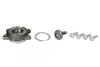 Підшипник маточини (передньої) Audi A6 04-11 (+ABS) SKF VKBA 6557 (фото 1)