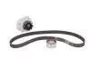 Комплект ГРМ + помпа Fiat Doblo/Fiorino 1.2-1.4 01- (22x129z) (VKPC 82100) SKF VKMC 02206-2 (фото 2)