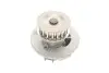 Комплект ГРМ + помпа Opel Astra F/G 1.4/1.6 91-05/Combo 1.2/1.4 94-01 (17x111z) (VKPC 85206) SKF VKMC 05121 (фото 8)