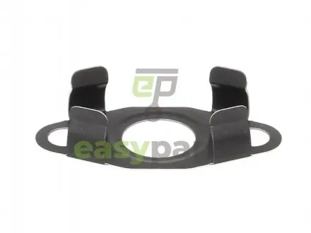 Прокладка турбіни Ford Focus/Mondeo/Galaxy/C-Max 1.8TD 05- ELRING 068.730