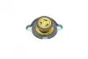 Кришка радіатора VW LT 28 75-96/Passat 73-81/Audi 80 72-78 FEBI BILSTEIN 04496 (фото 2)