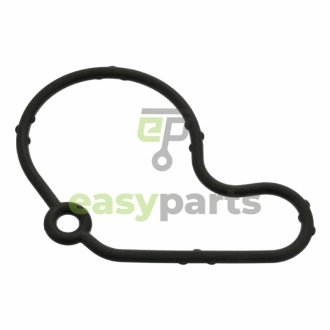 Прокладка насосу вакуумного VW Golf IV/Caddy II95-/Skoda Fabia 1.9SDI/TDI 95-07 FEBI BILSTEIN 100797